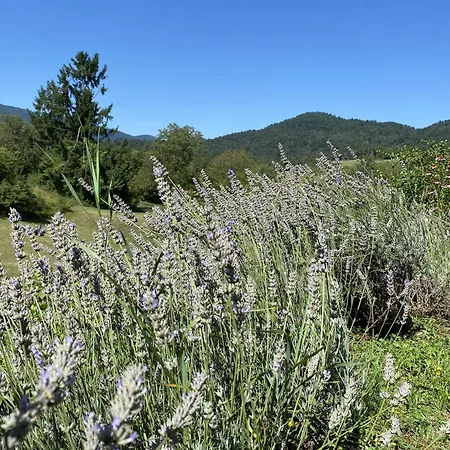 In Nature With Sauna * Postojna