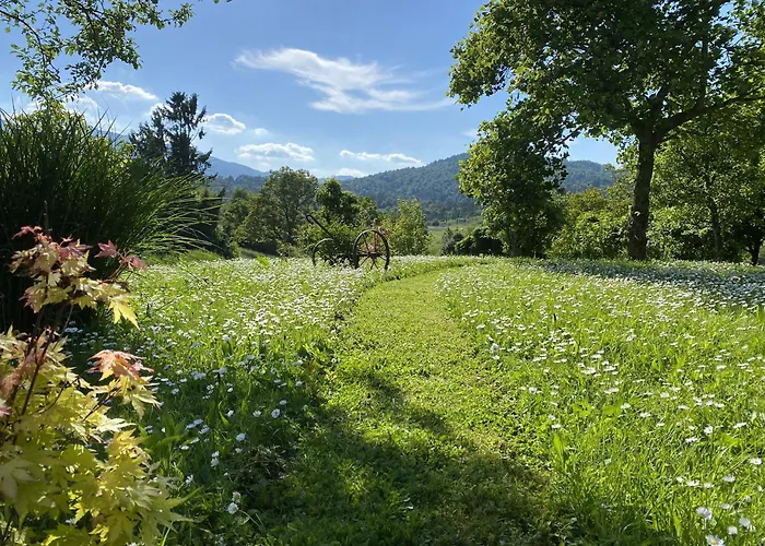 Appartamento In Nature With Sauna Postumia